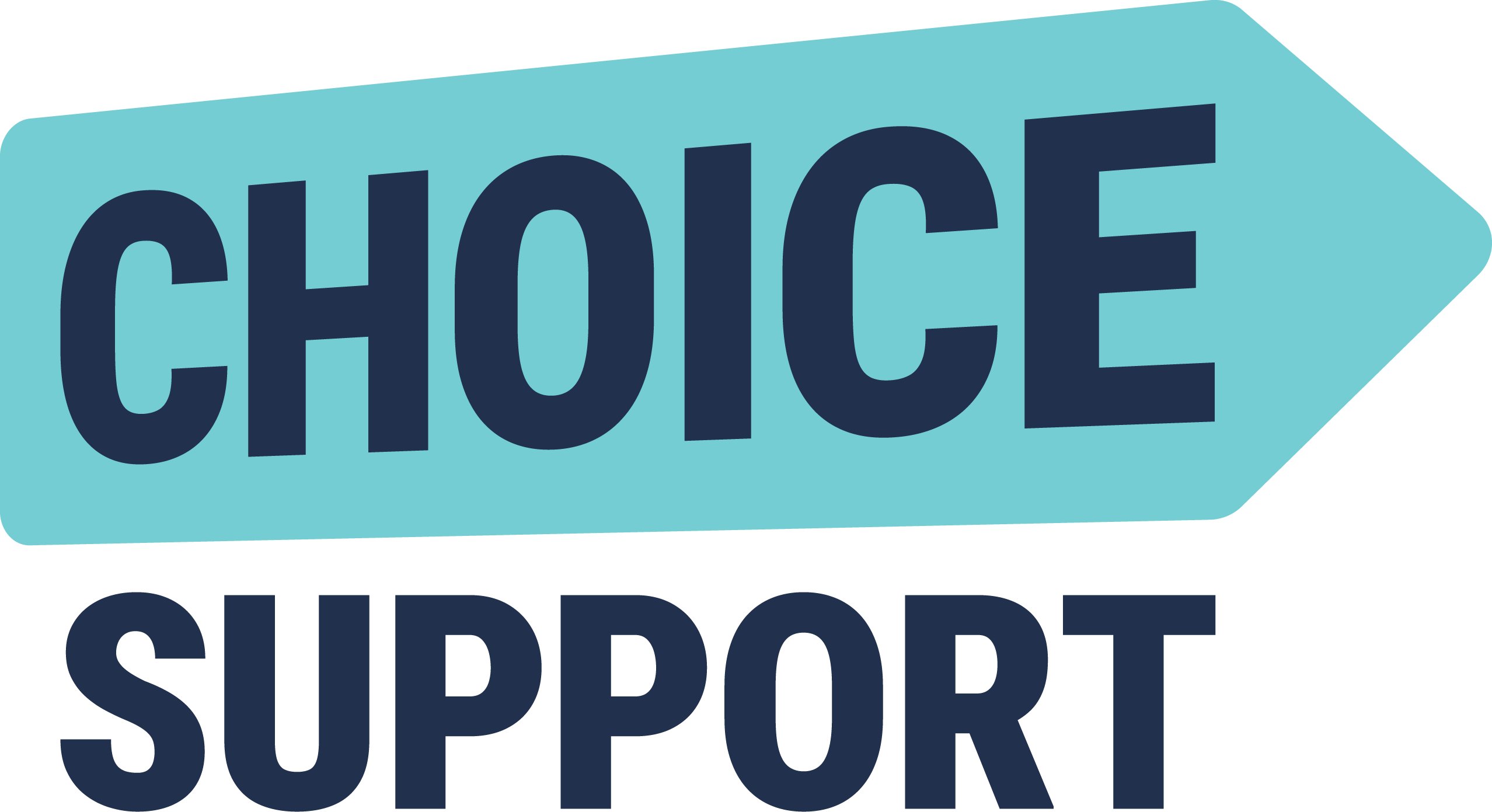 www.choicesupport-lili.com home.